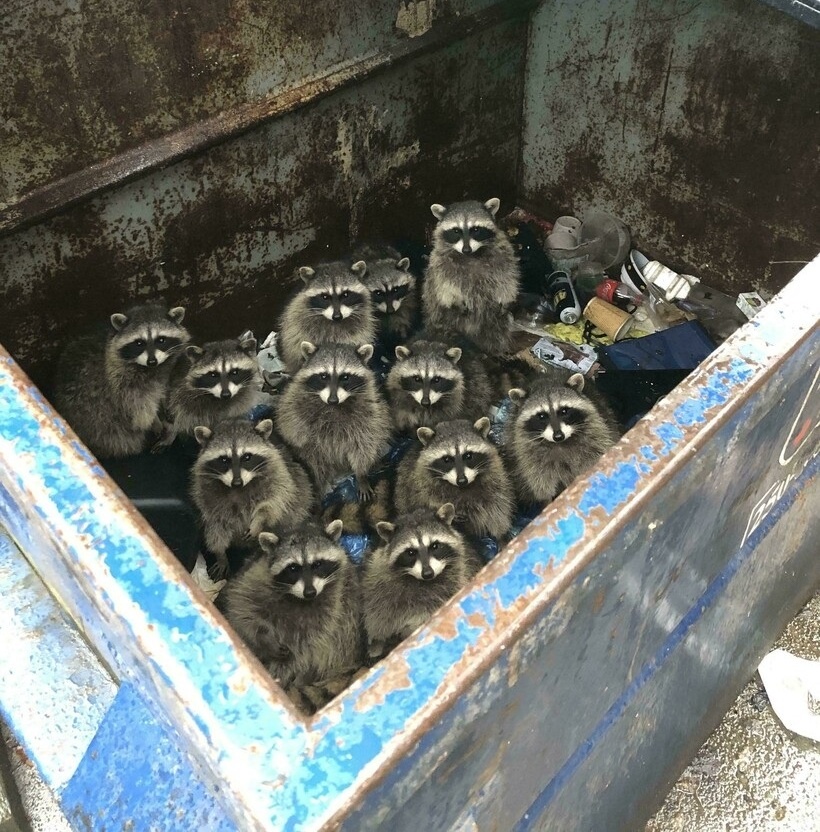 -Сами мы не местные... Кидай! Что там у тебя?! Есть есть?!