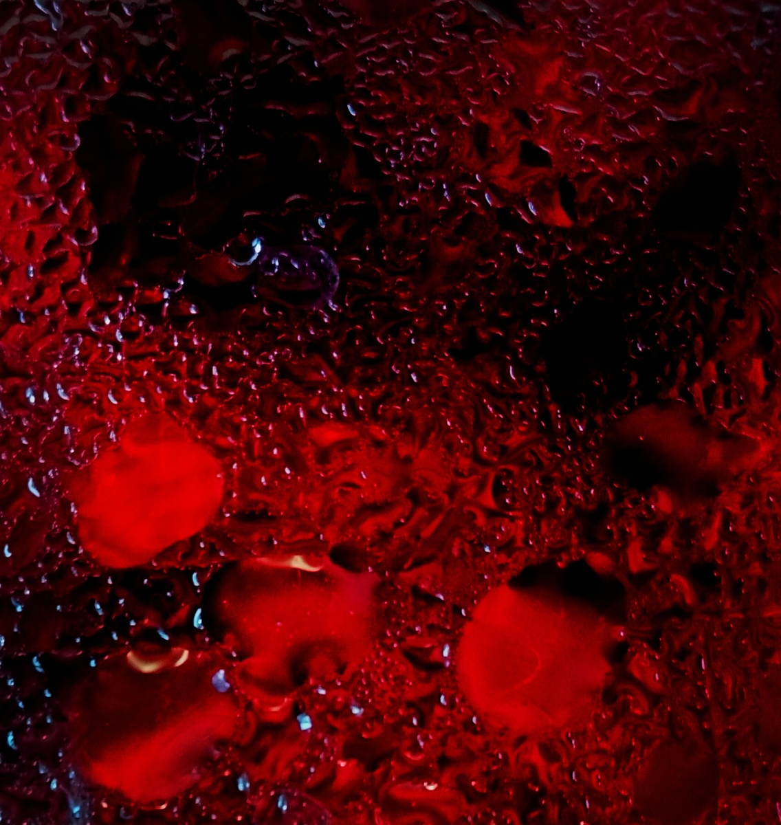 Фото автора от 22.02.2026г.