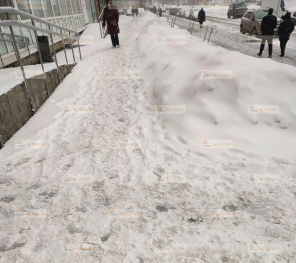    Автор фото: Портал "Наш Санкт-Петербург"