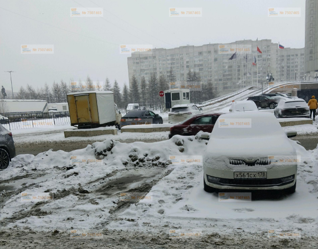    Автор фото: Портал "Наш Санкт-Петербург"