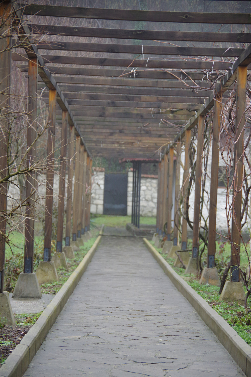 Фото атвора