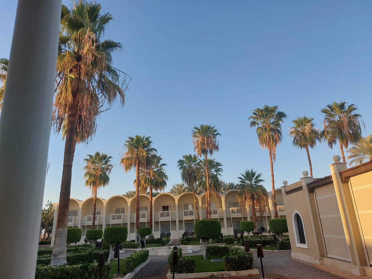 Вид из номера