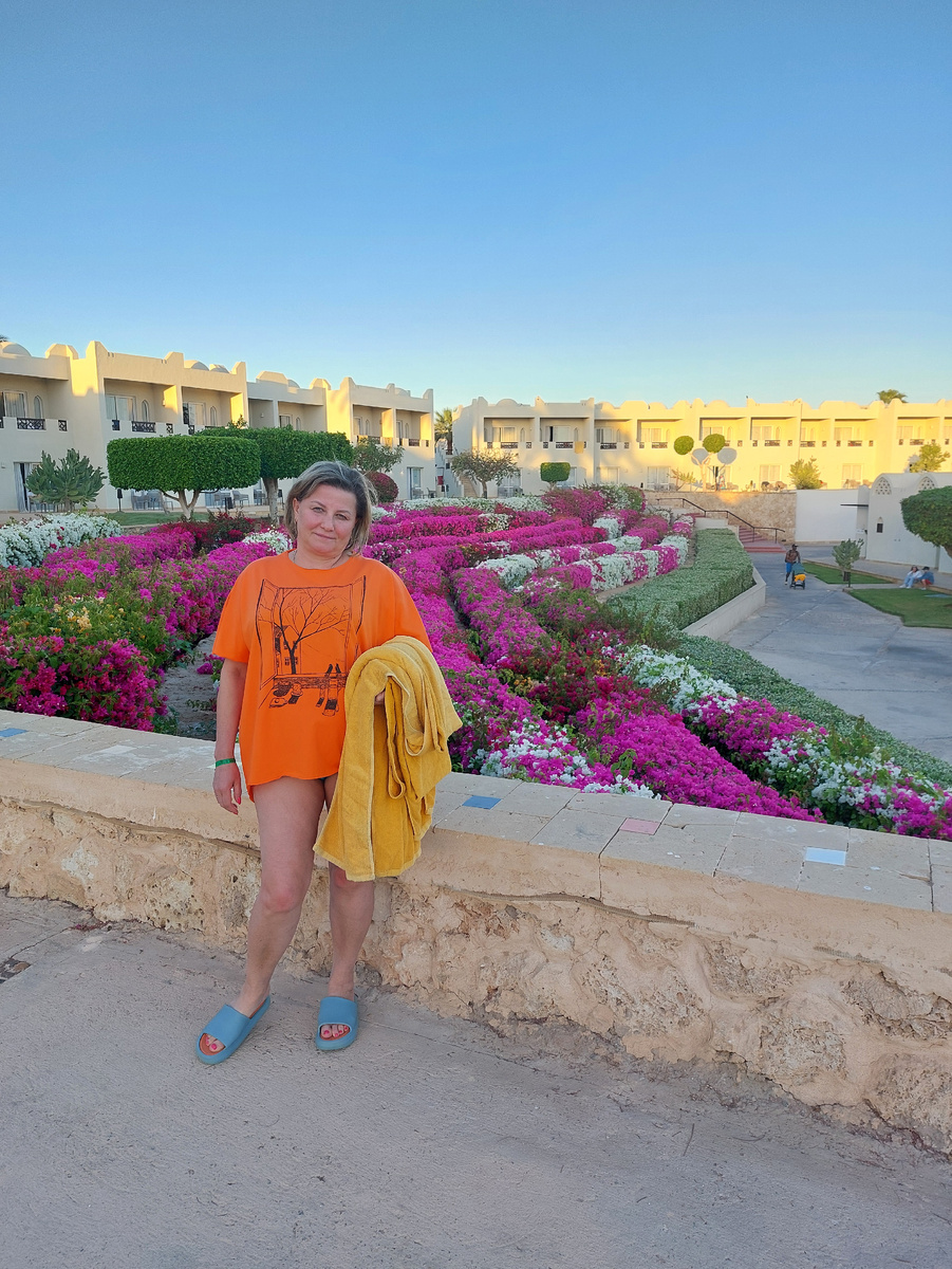 Територия отеля