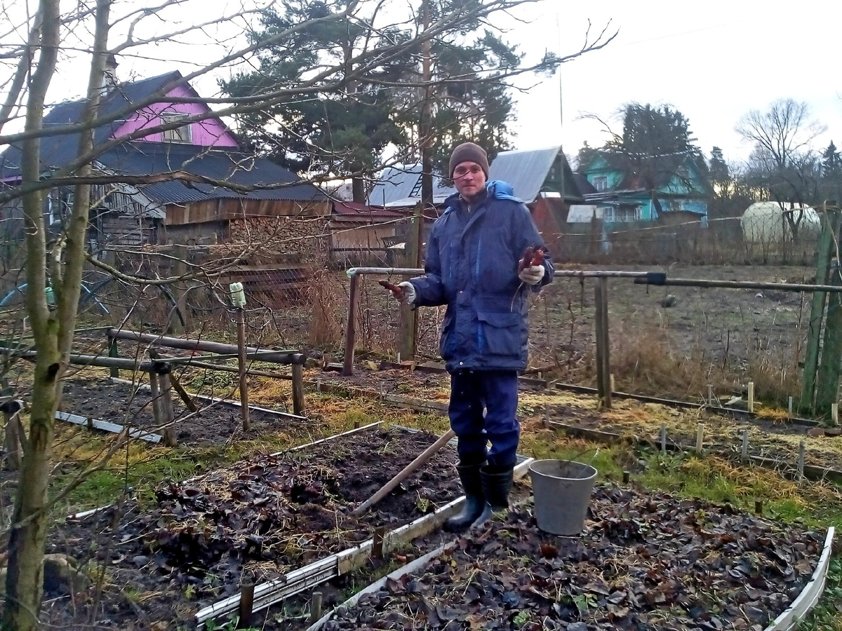 фото Алексея Колобка