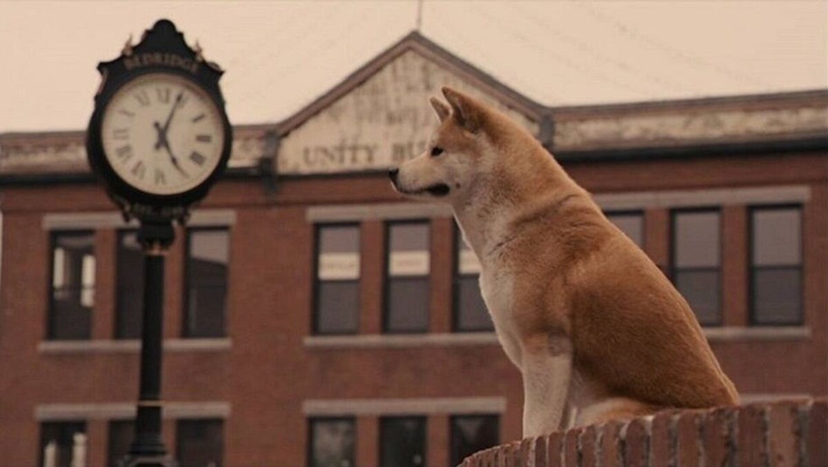 Хатико ожидает своего хозяина.