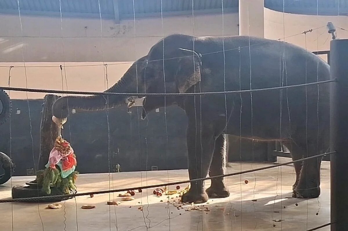    40 тысяч мышц против зимы.