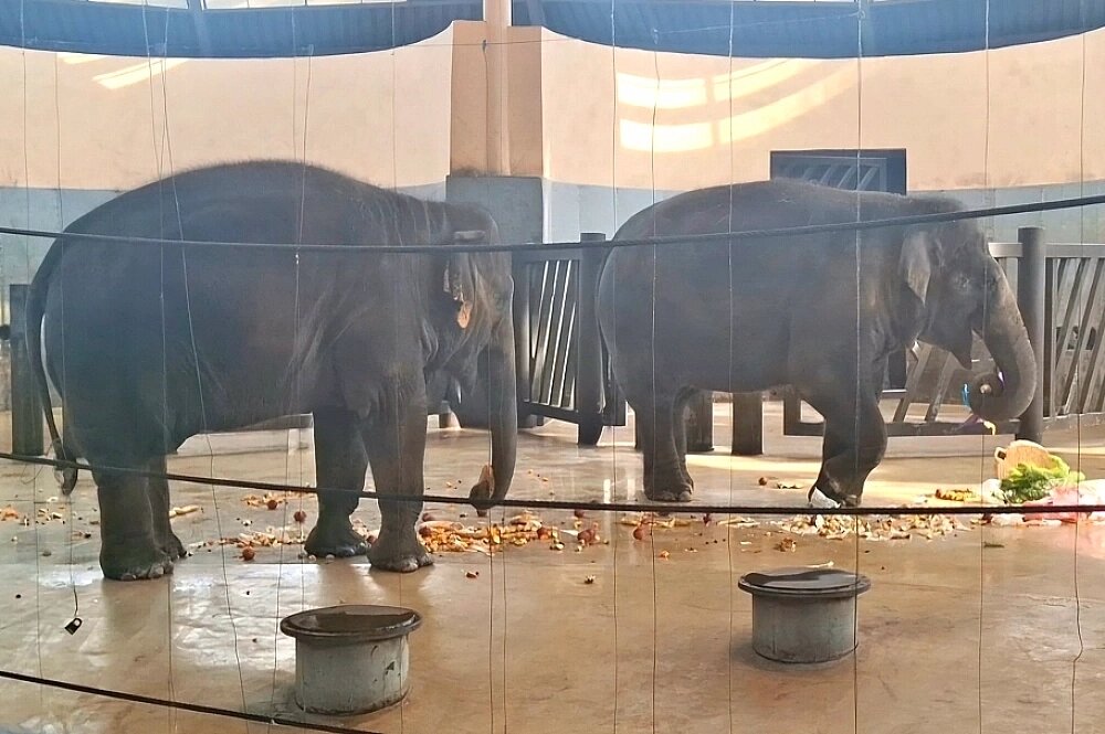    Фото: Rostov.aif.ru