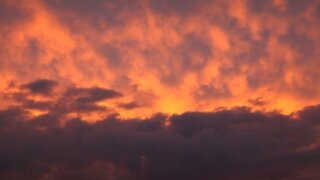    фото: Юрий Гречко / Югополис Людмила Лата