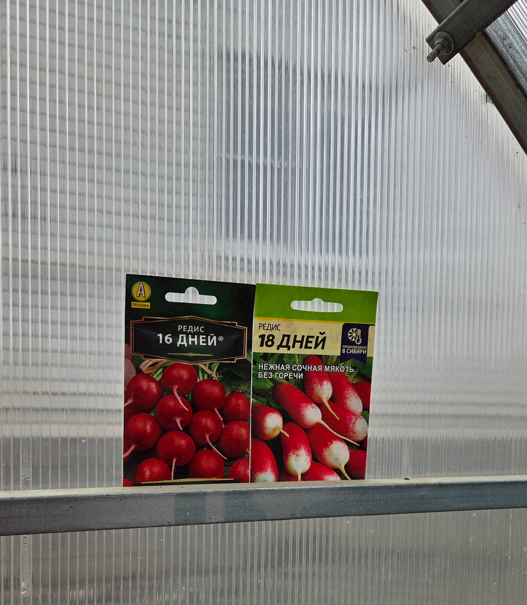 Фото: Зеленая леди, сад, семья и томатный сок