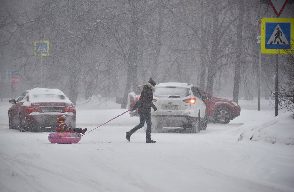   
 Фото: Антон Кардашов/АГН «Москва»