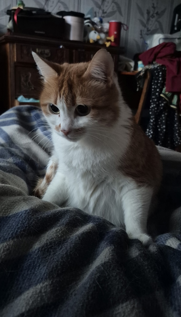 ложимся спать