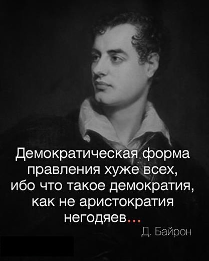 Яндекс. Картинки.