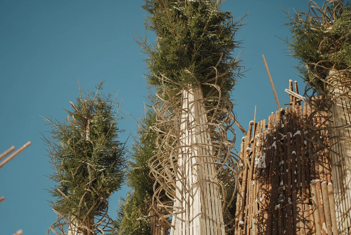 Никола-Ленивец, Масленица, 2026. Фотограф Дуня Ситина @dunia_sitina