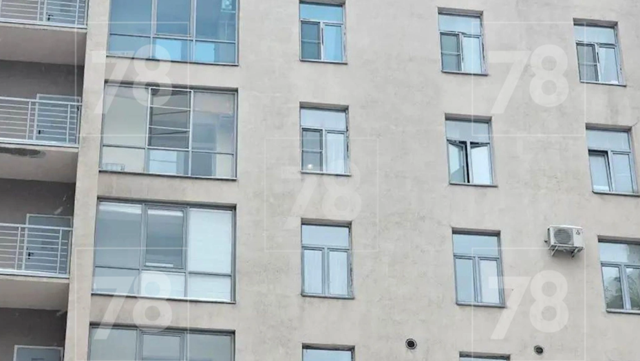    Автор фото: 78.ru