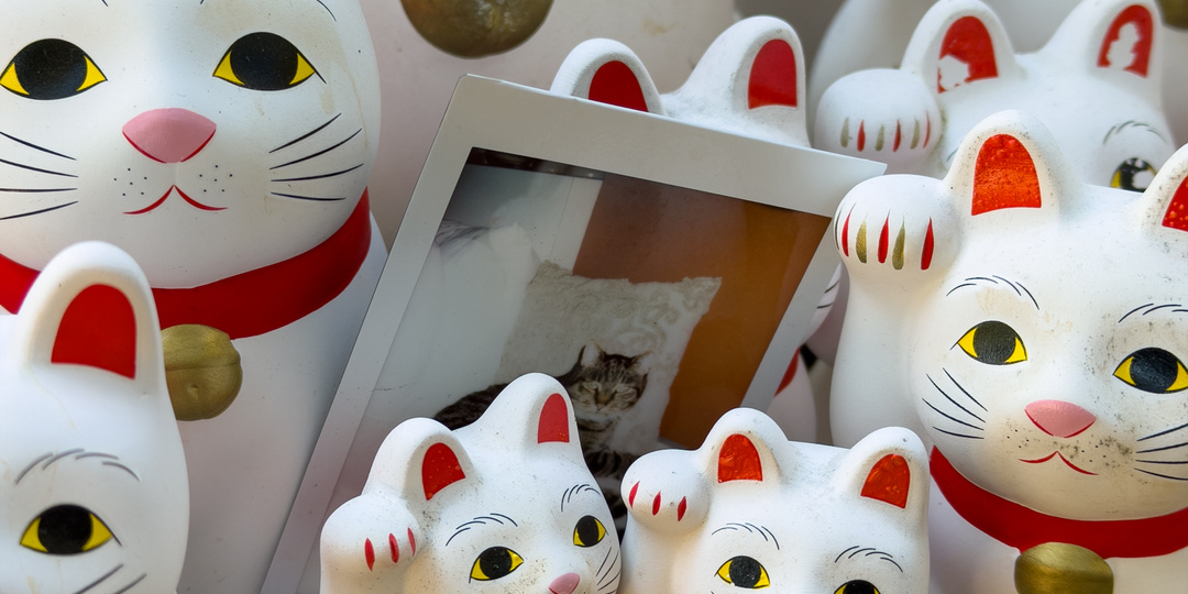 Страна восходящих котов – храм Готокудзи