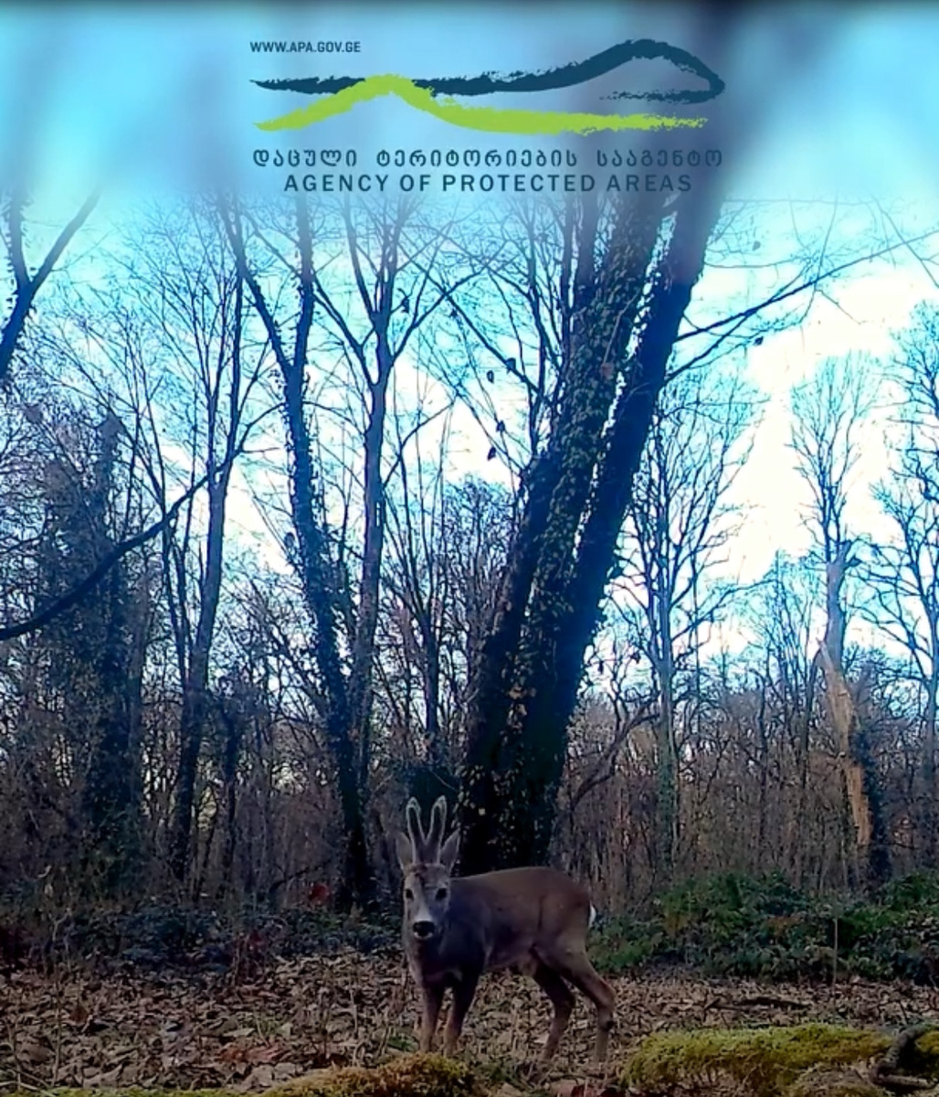 📷: Национальное агентство охраняемых территорий