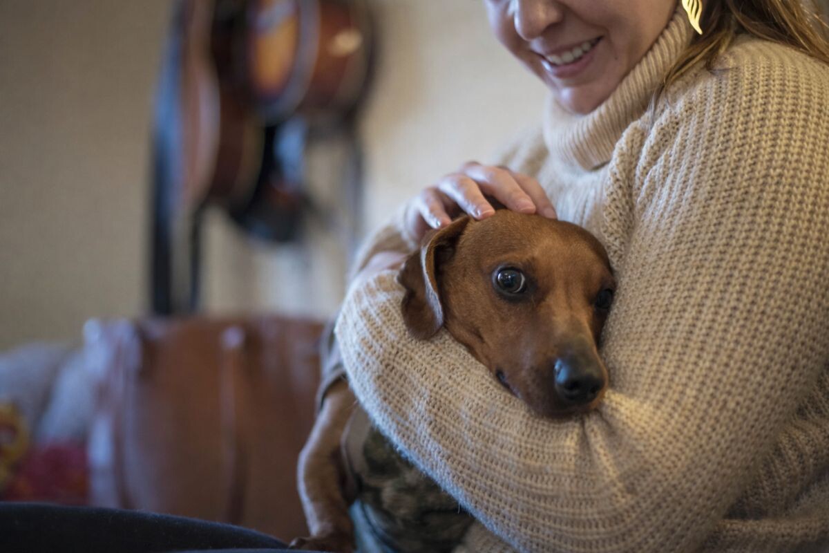 Тревожная собака 