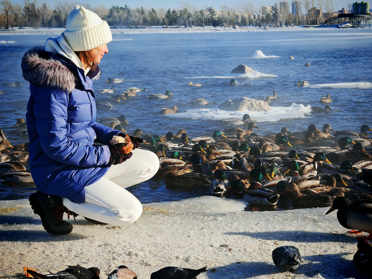 4. Утки, налетайте!