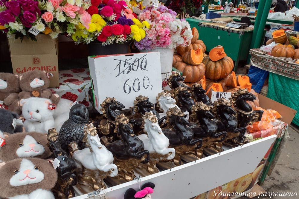 кони нынче подешевели