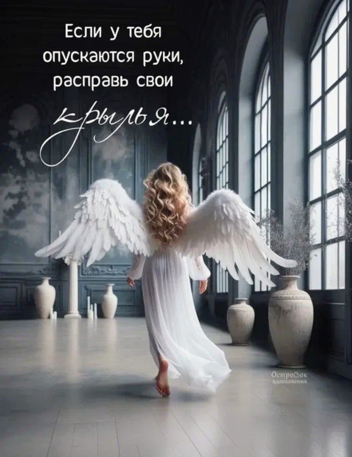 Картинка из интернета 