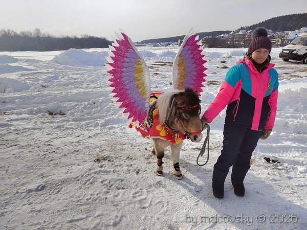 Масленица 2026 в Миассе