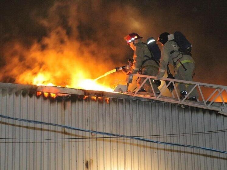     Фото: ГУ МЧС России по Воронежской области