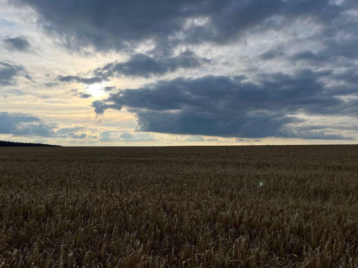     Фото: "Бриф24"