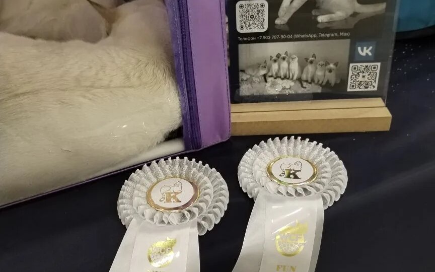 Как мои выпускники съездили в СПб на выставку