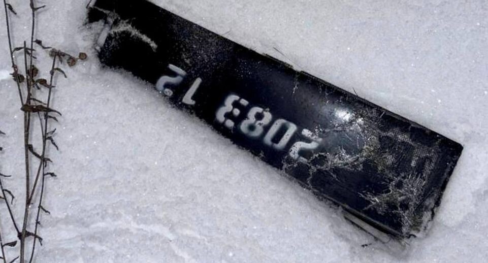    Глава муниципального округа Истра Татьяна Витушева / Telegram