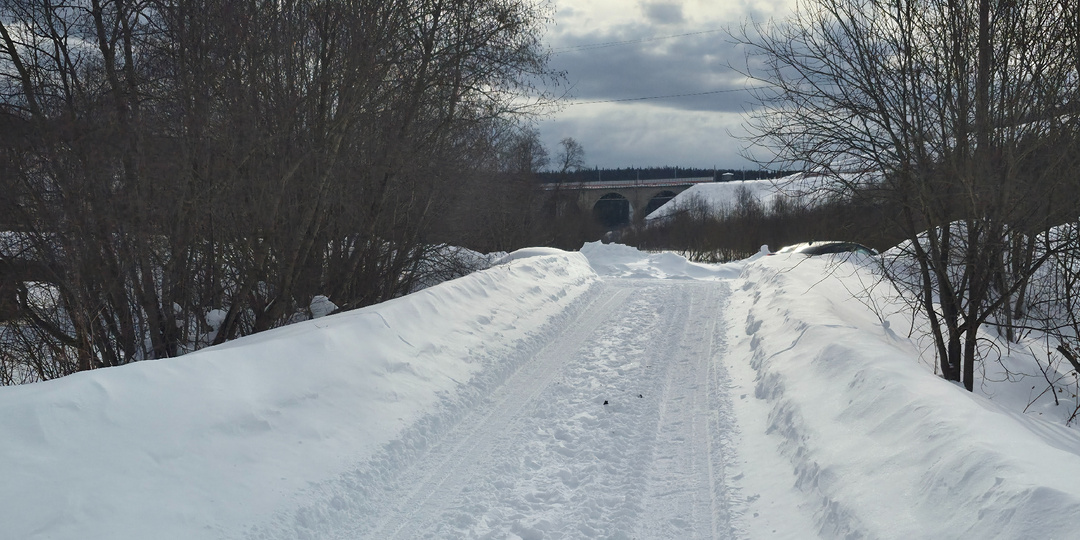 Мои дорогие подписчики и читатели канала!