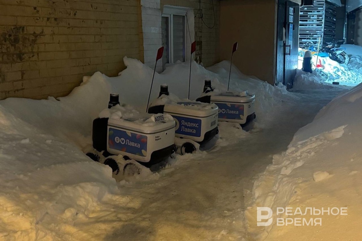   Дмитрий Зайцев / realnoevremya.ru