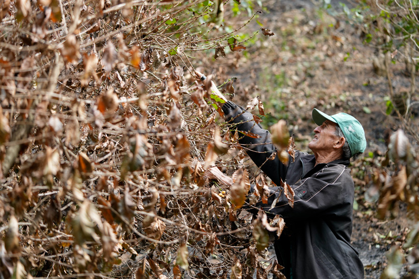    Фото: Andre Penner / AP / TASS