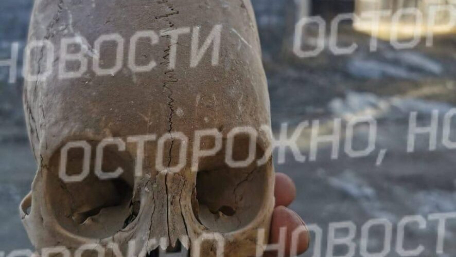    Фото: соцсети