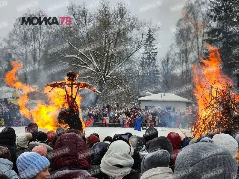   Сжигание Масленицы в парке Павловска 22 февраля. Фото: Мойка78