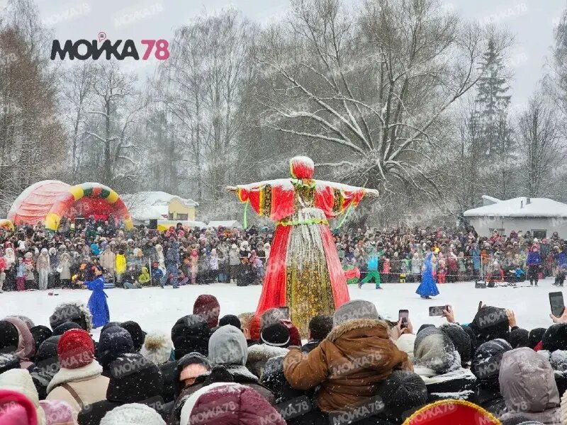    Сжигание Масленицы в парке Павловска 22 февраля. Фото: Мойка78