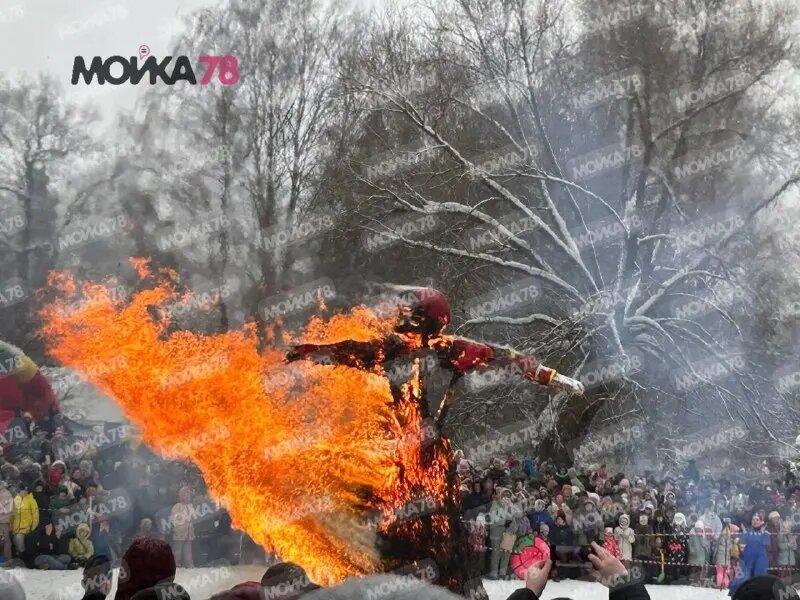    Сжигание Масленицы в парке Павловска 22 февраля. Фото: Мойка78