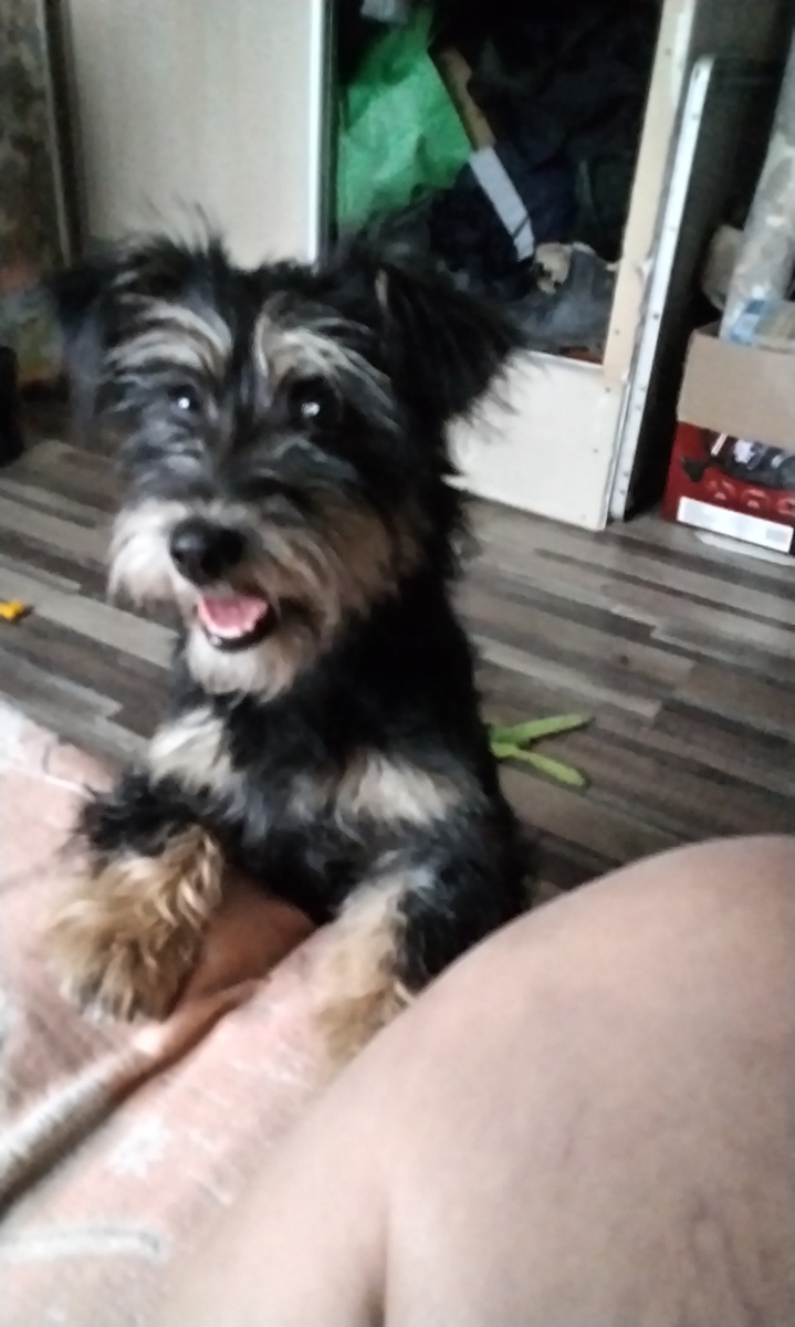 Первый день дома