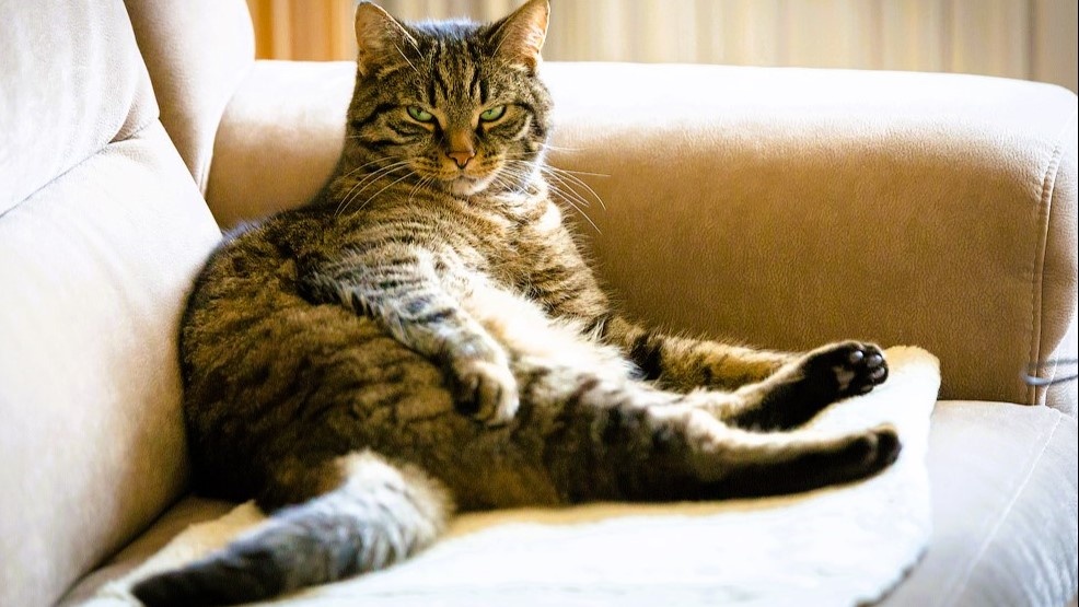 Я не обязан откликаться на сомнительные предложения