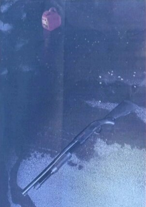    Дробовик Фото: Скриншот