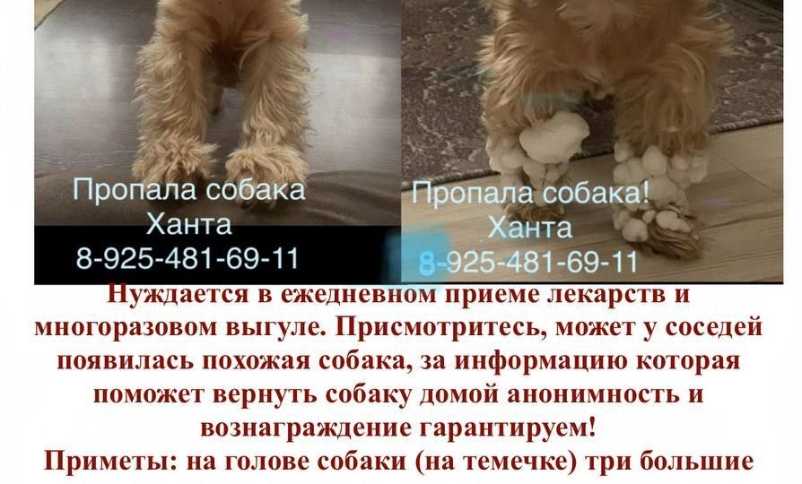 Конкурсный - Семхоз - Сергиев Посад