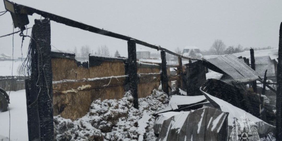 Жуткая трагедия в Нижегородской области
