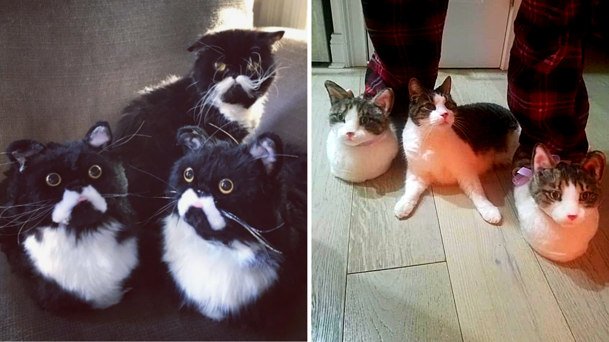 Тапки производства компании "Клоны-обнимашки", изготовленные с портрета питомца, стоимостью 200 долларов. ЕЩЕ фото --->>