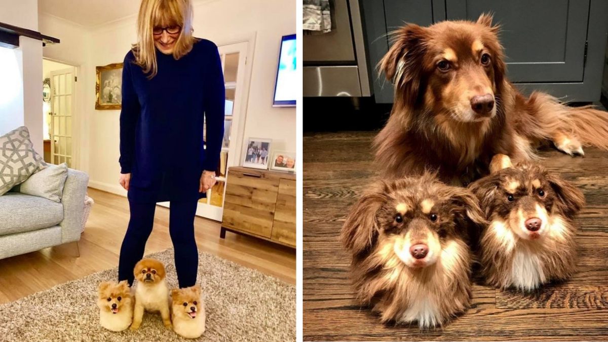 Компания процветает на изготовлении игрушек, фигурок и прочих сувениров в виде питомцев