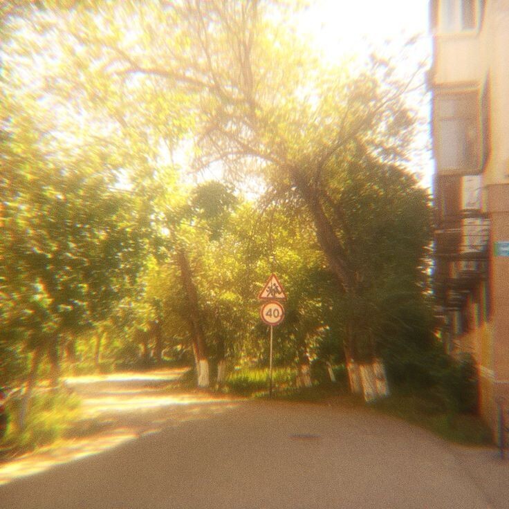 #любовь #романтика #студенты #зависть #май