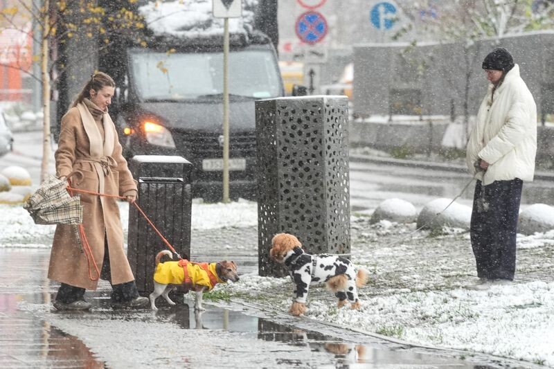     / Источник: © ИЗВЕСТИЯ/Андрей Эрштрем