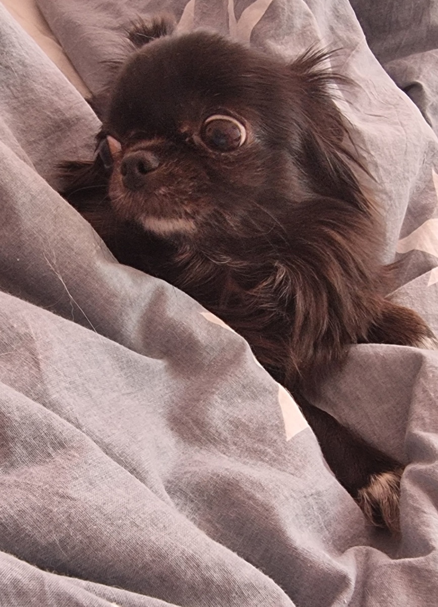 Господи, хоть бы вязаной не стать😀