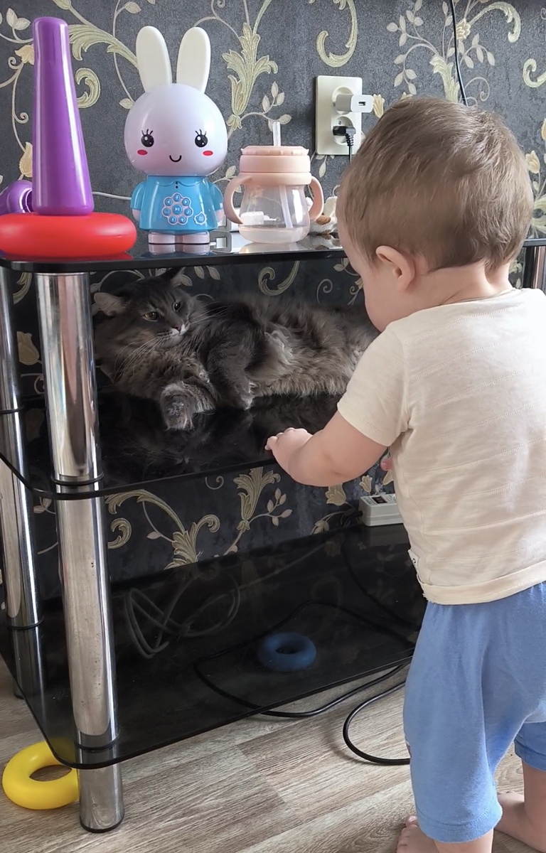 Фотографии в статье авторские. 