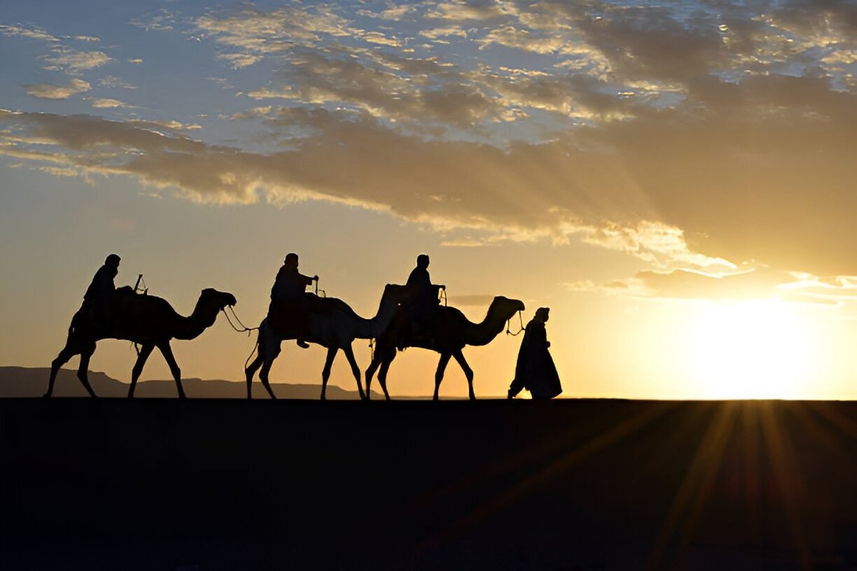 Фото с сайта: https://www.tripadvisor.in/Attraction_Review-g477972-d27939211-Reviews-Touil_Travel_Tunisia-Douz_Kebili_Governorate.html