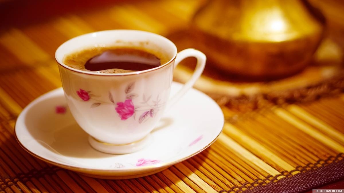     Кофе   
Николай Дятлов © ИА Красная Весна