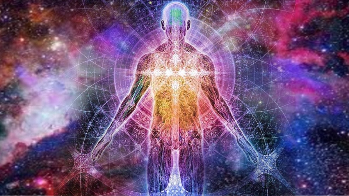 Фото из свободных источников интернета